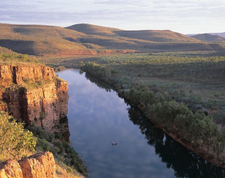 WGF: New Voluntary Closures (Cody Region)