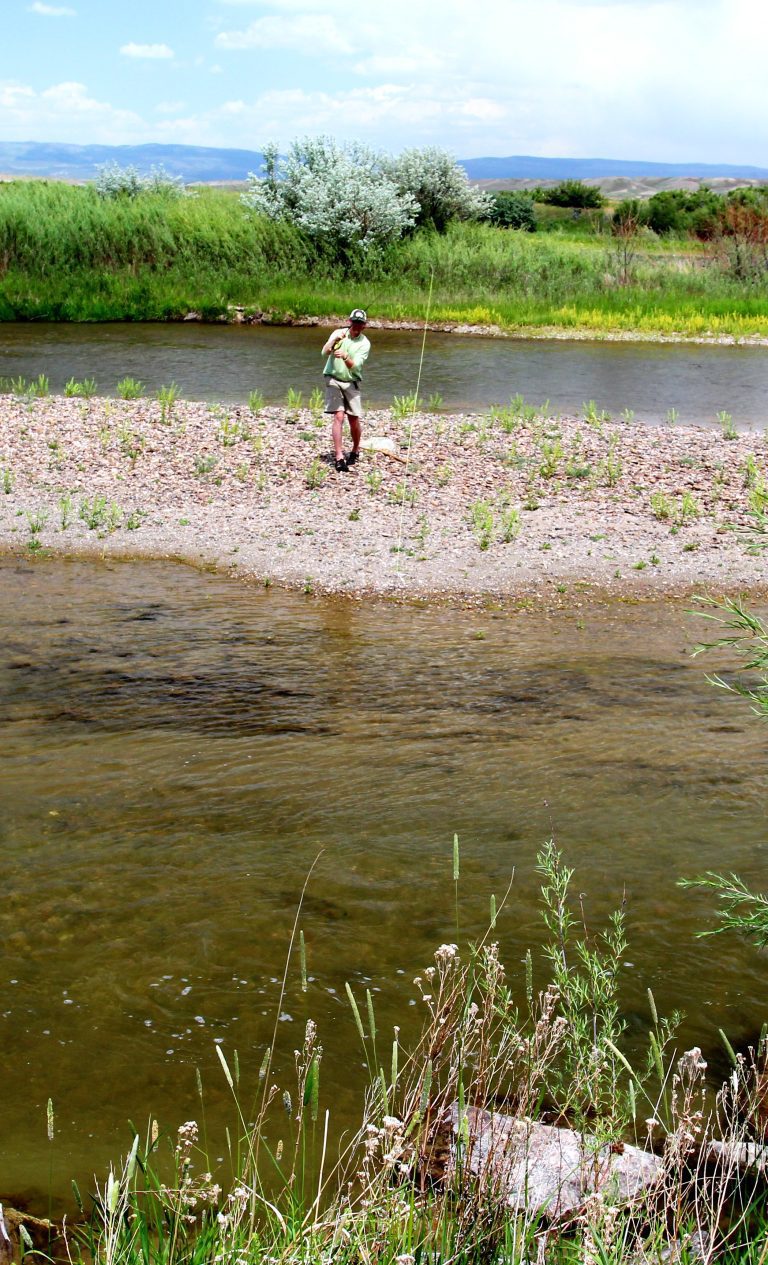 Fly Fishing -Grey Reef River Flows