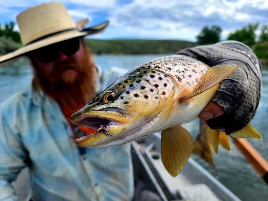 Big Horn River Fly Fishing