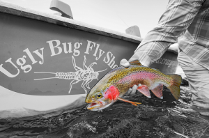 UPDATED FISHING REPORT FOR THE NORTH PLATTE RIVER