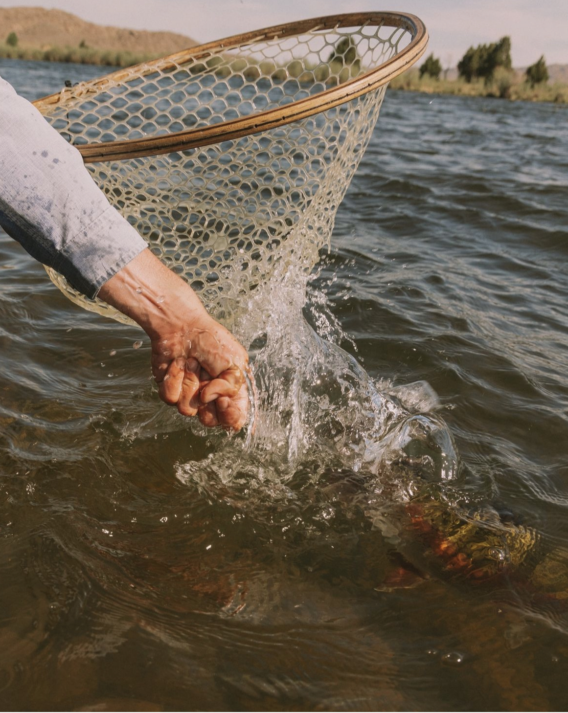 Fishing Report July 15th