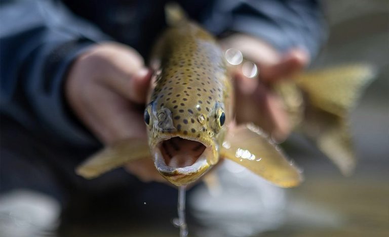 Fall Fishing Pep Talk
