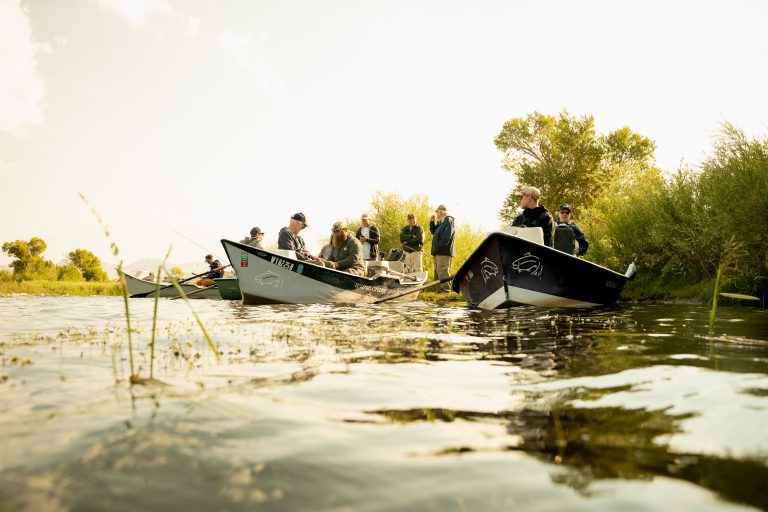 ANOTHER FLUSH UPDATE 2026