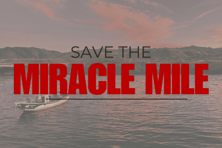 Quick History: Why Is It Called The Miracle Mile?