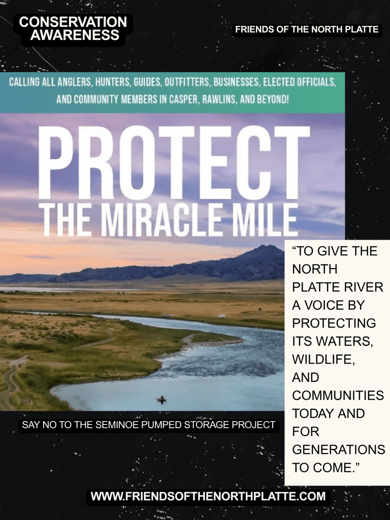 Save the Miracle Mile