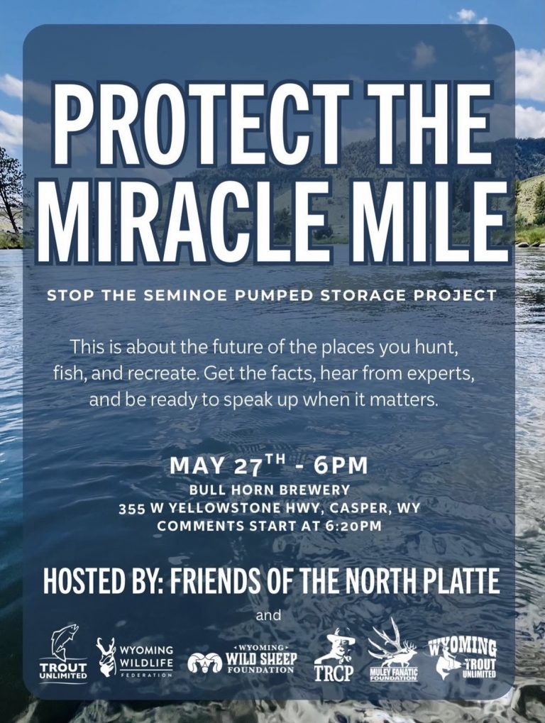 Seminoe Pumped Storage Project Pint Night