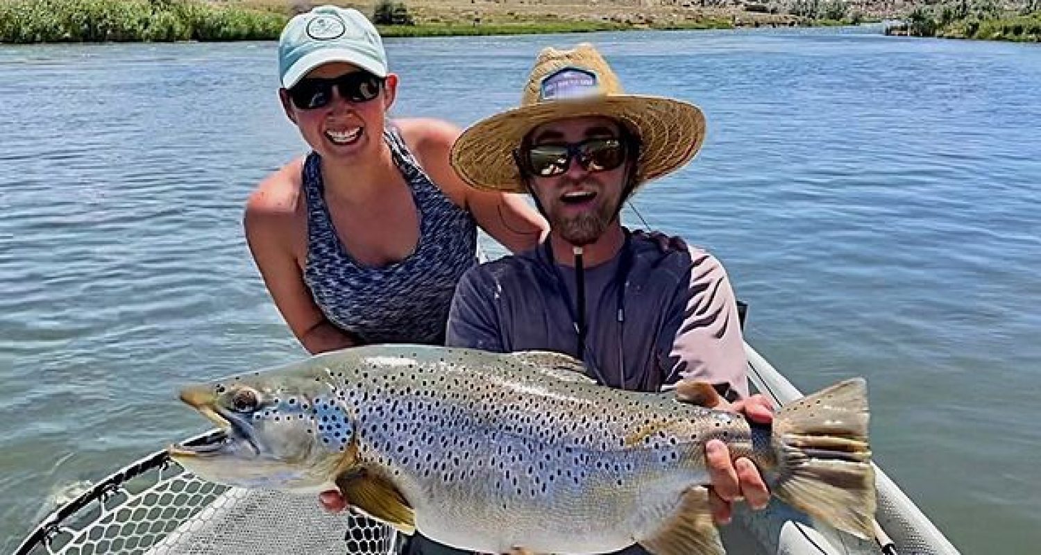 GIANT BROWN TROUT ON THE GREY REEF WYOMING