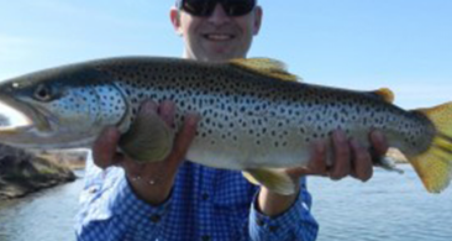 BIG BROWN TROUT ON THE NORTH PLATTE RIVER