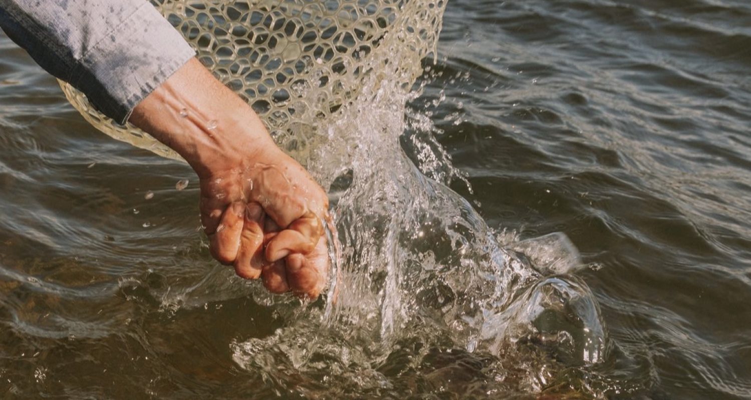 Fishing Report July 15th