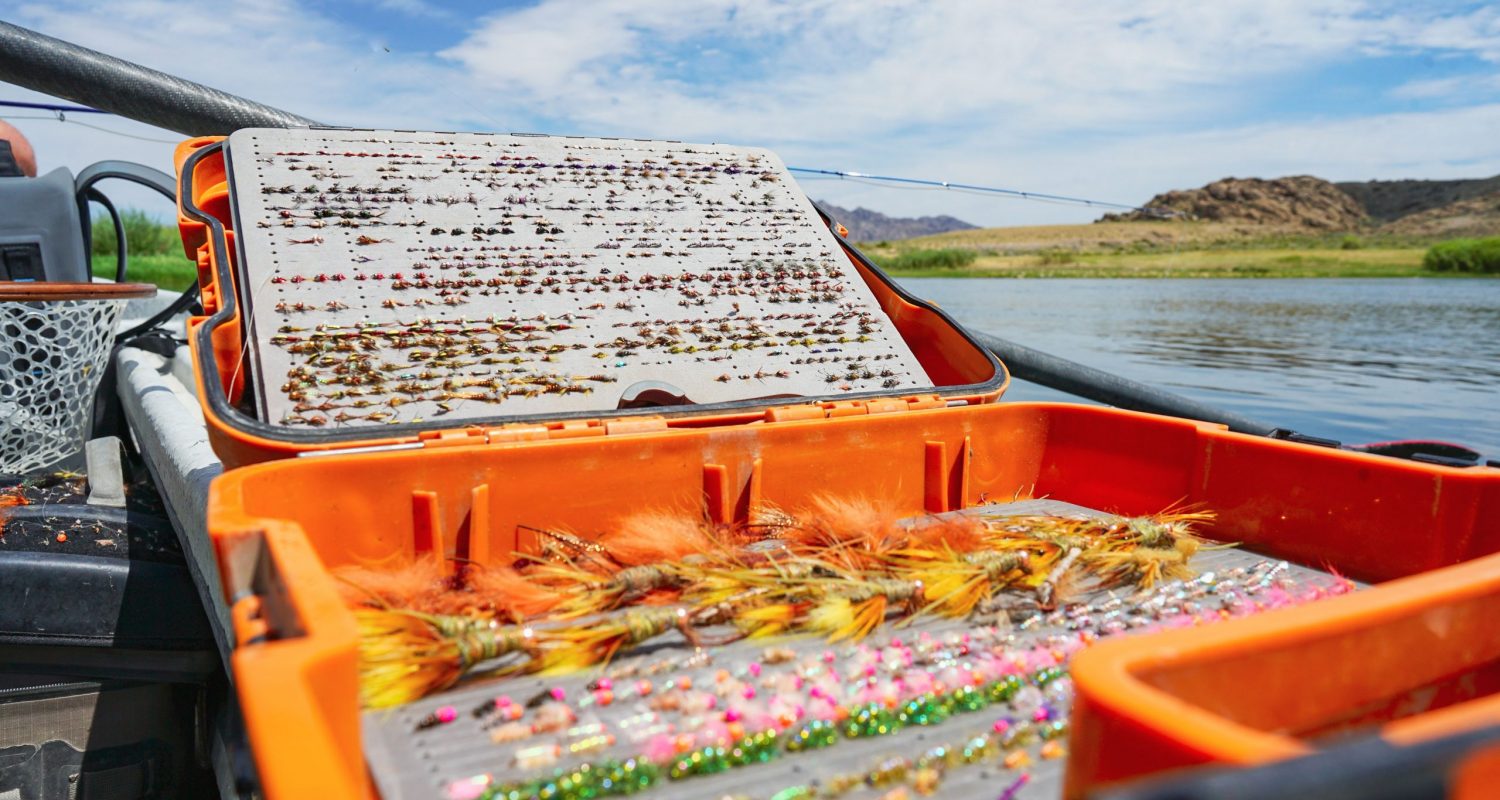 Ugly Bug Guides Fly Box