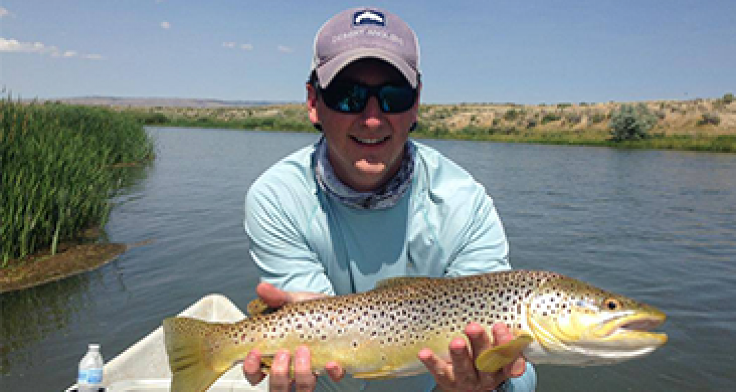 GRAY REEF BROWN TROUT
