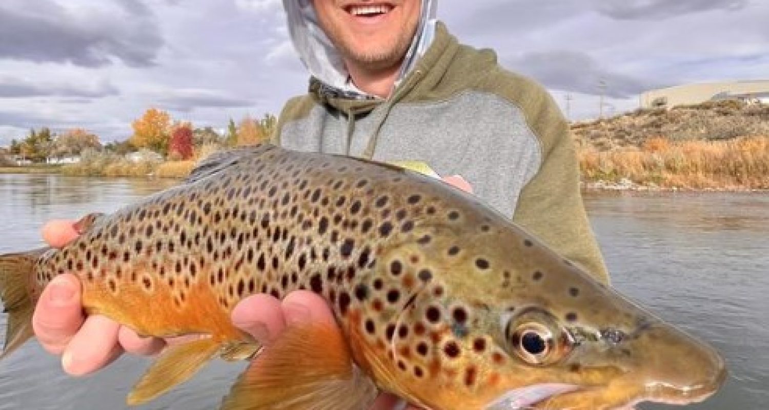 Fishing on the Big Horn, Midges and BWOs