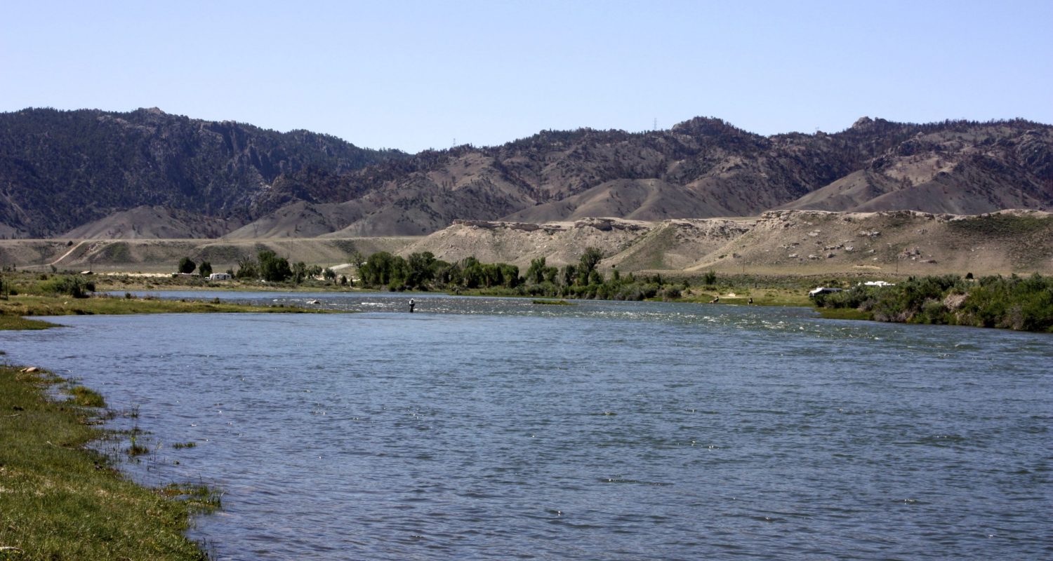 Miracle Mile Fly Fishing