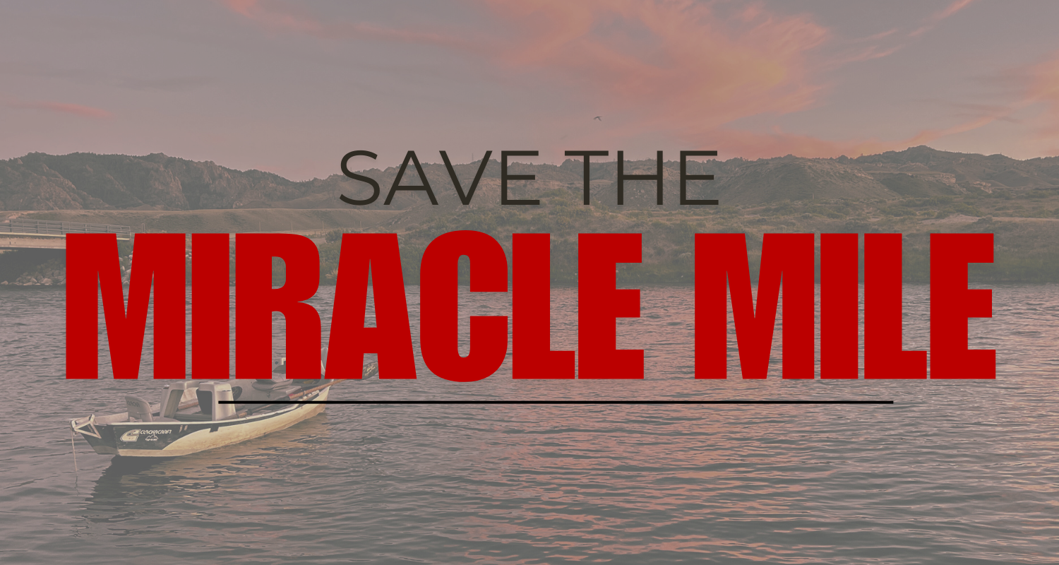 Save the Miracle Mile