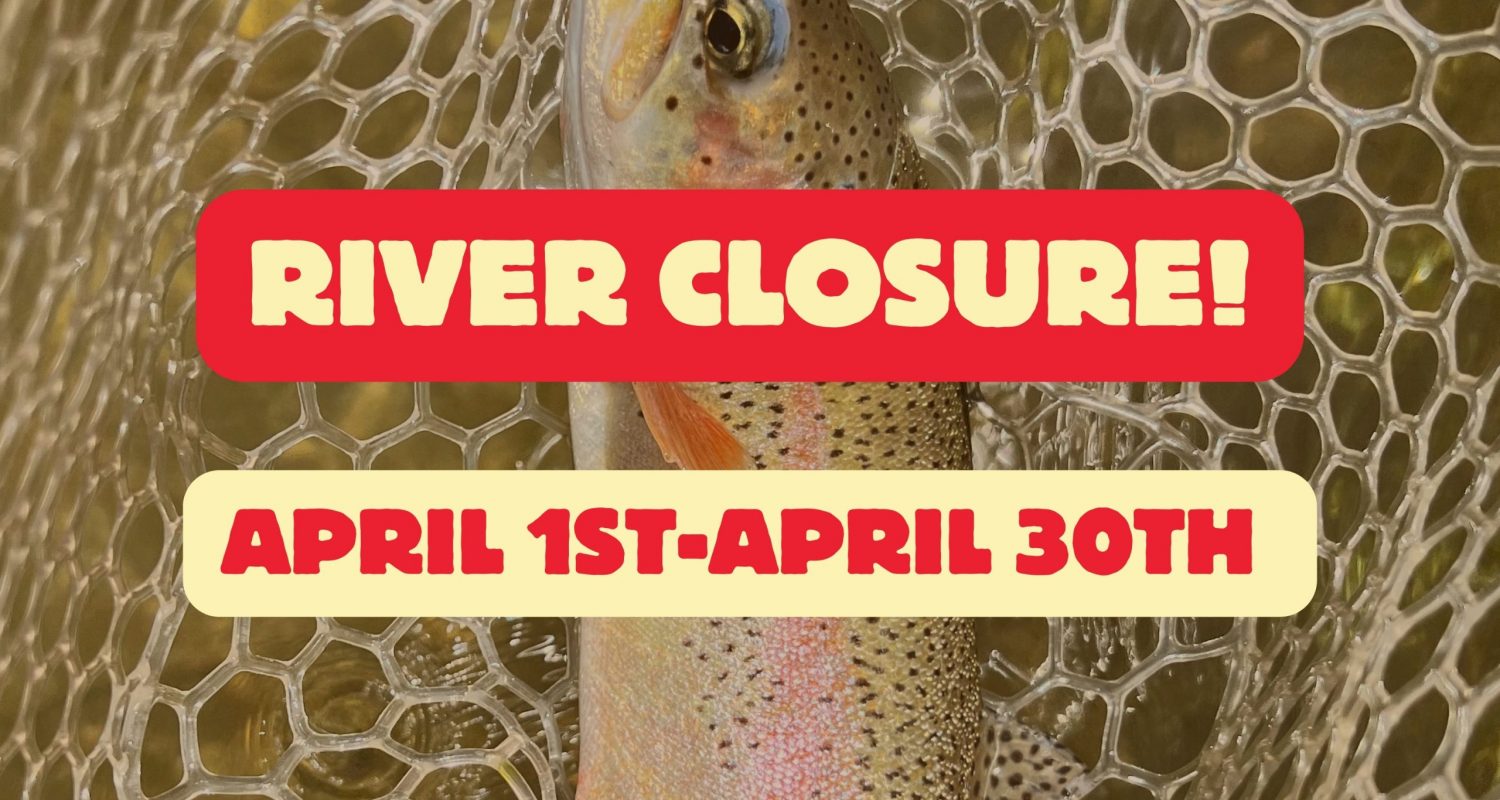 Spawn update and river closure.