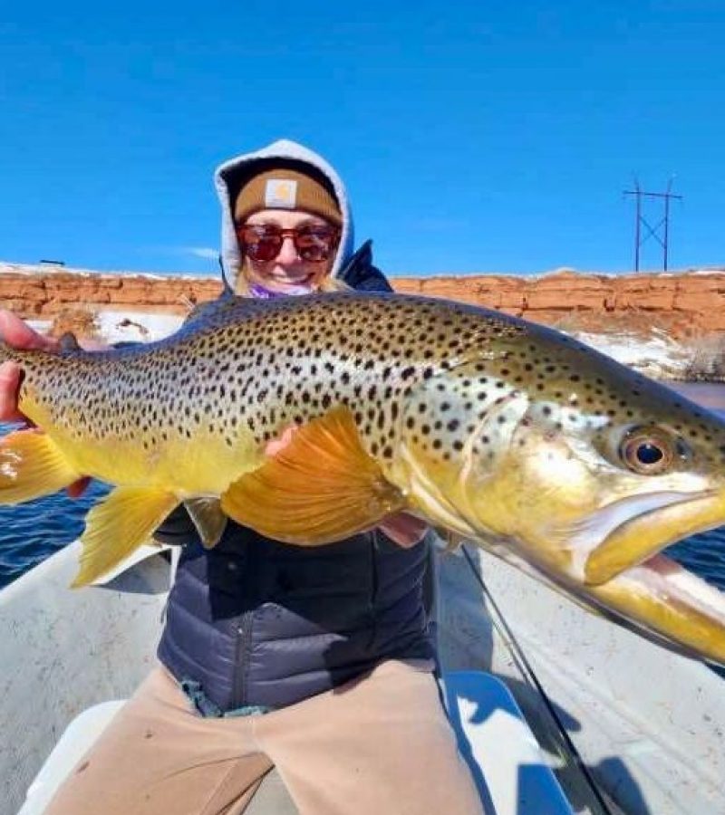 Assistant Manger, Brown Trout, Meet our staff, Team, Ugly Bug Fly shop